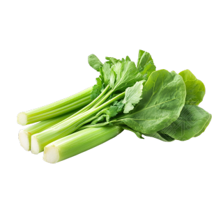 时令蔬菜插画