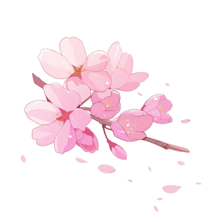 樱花花瓣飞舞插画