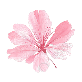 樱花花瓣粉色元素