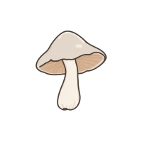简笔画蘑菇插图