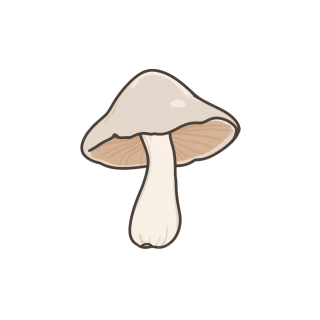 简笔画蘑菇插图