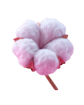 3D棉花唯美插图