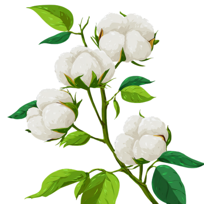 棉花小清新素材