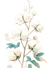 水彩风格棉花素材