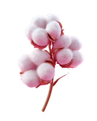 3D棉花唯美元素