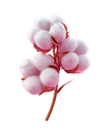 3D棉花唯美元素