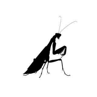 螳螂剪影元素