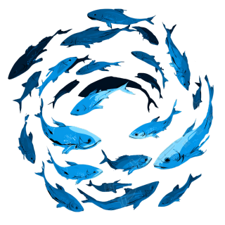海洋鱼群矢量素材