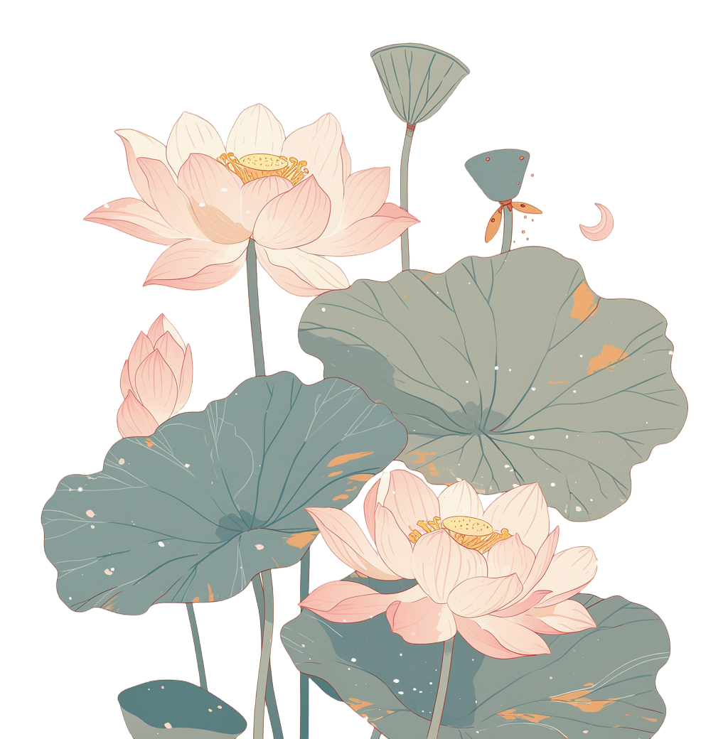粉色荷花透明背景插画