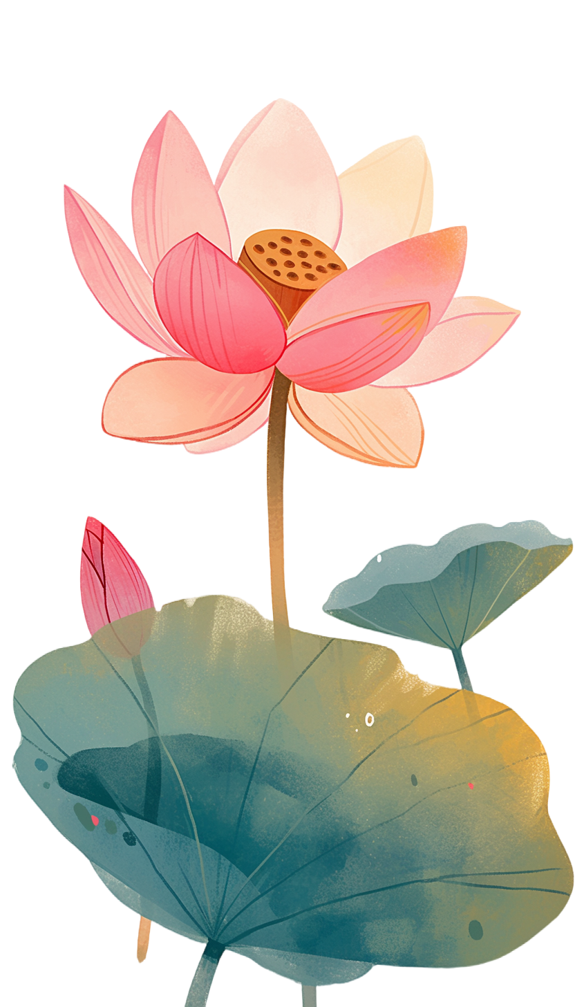 粉色荷花透明背景插图
