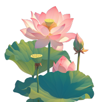 粉色荷花莲蓬插图