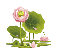 粉色荷花莲蓬元素