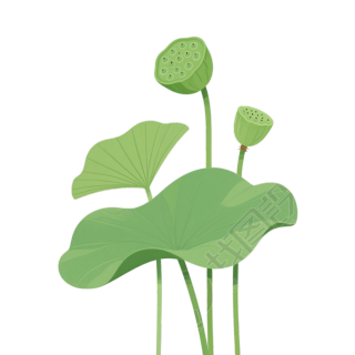 莲蓬小清新插画