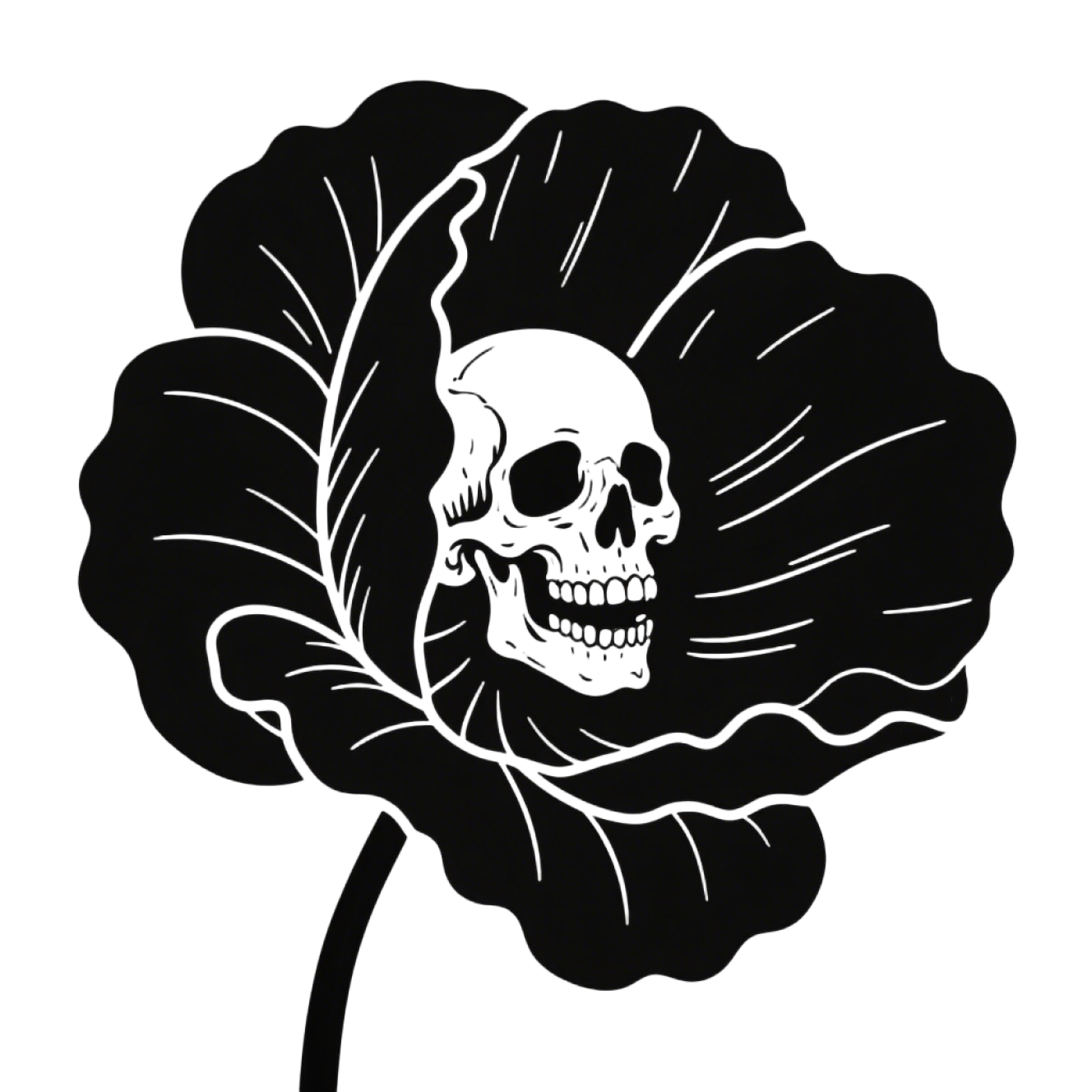 罂粟花骷髅头素材