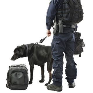 禁毒警犬检查行李插画