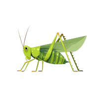 绿色蟋蟀透明背景元素
