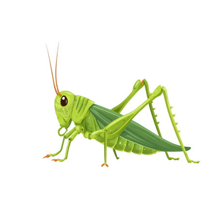 绿色蟋蟀透明背景插画