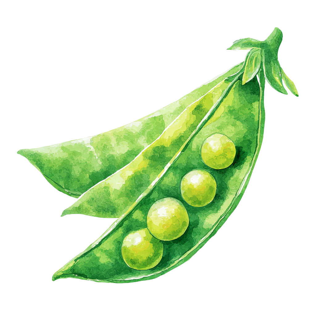 绿豆卡通简约插画
