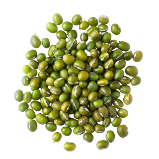 绿豆透明背景插图
