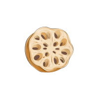 莲藕透明背景插画