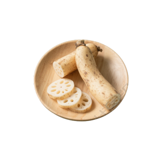 莲藕切片素材