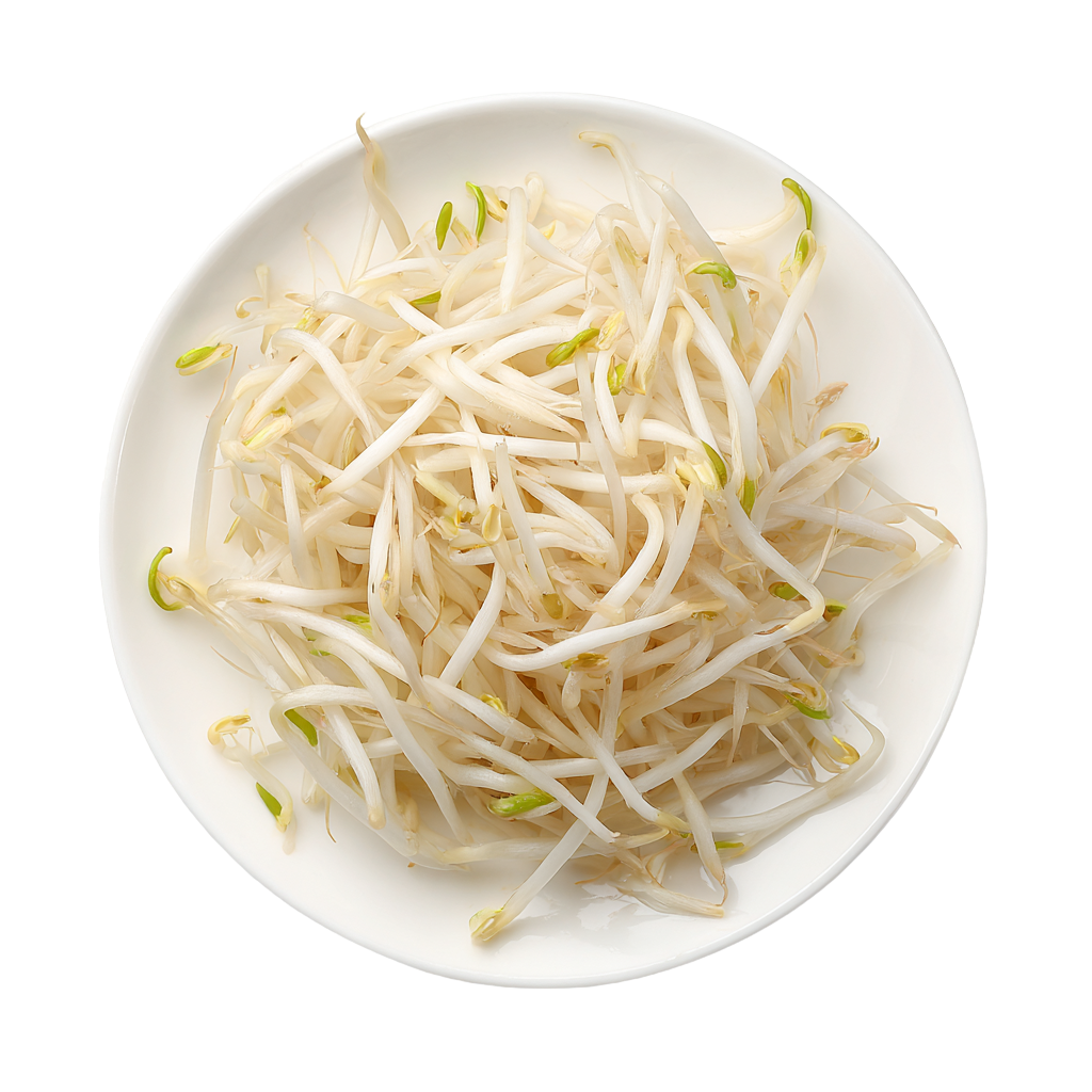 黄豆芽创意设计素材