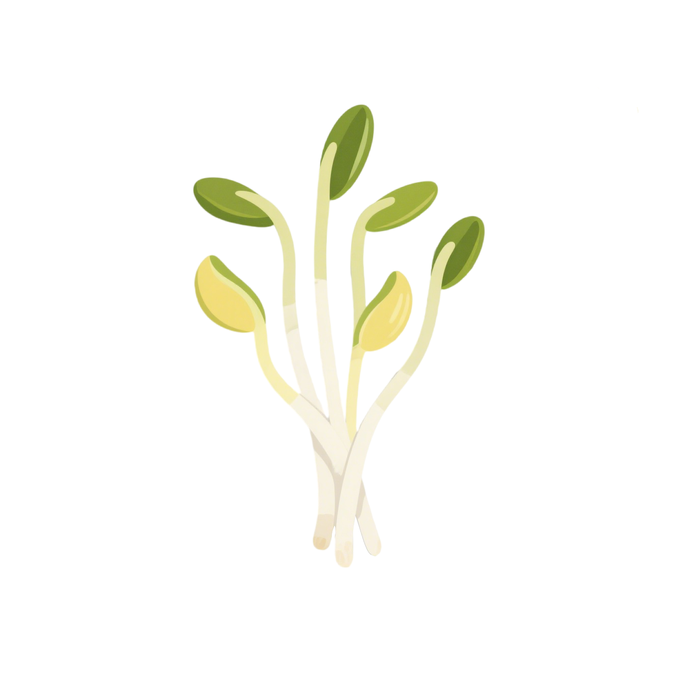 黄豆芽清新简约插画
