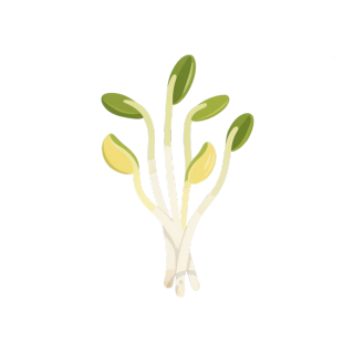 黄豆芽清新简约插画