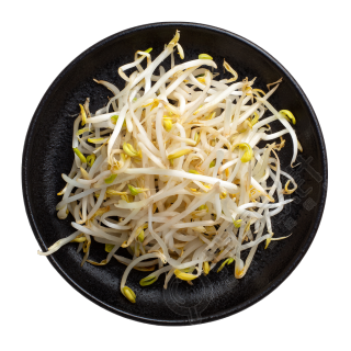 黄豆芽高清商业素材