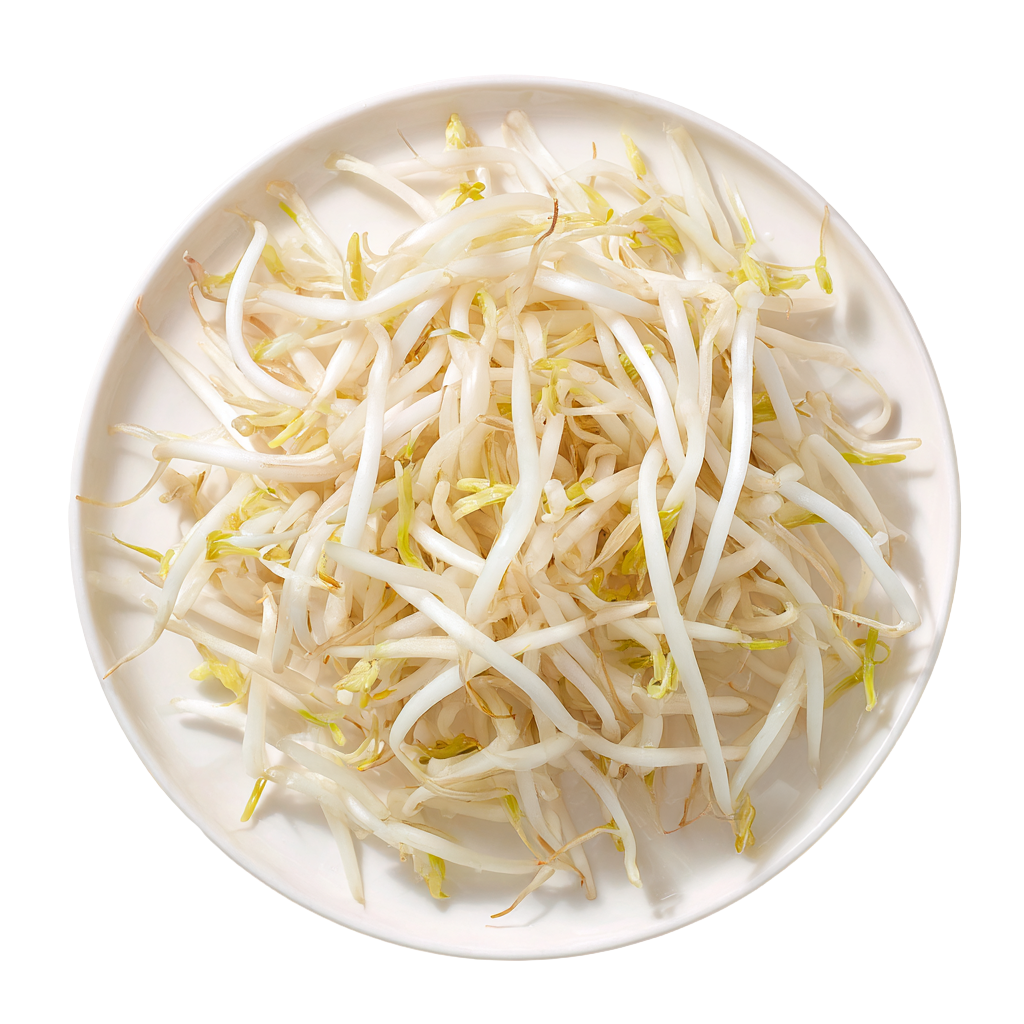 新鲜黄豆芽插图