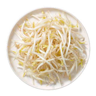 新鲜黄豆芽插图