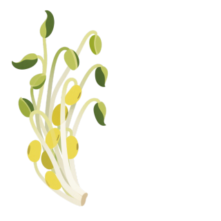 黄豆芽卡通元素