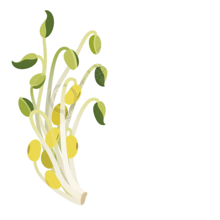 黄豆芽卡通元素