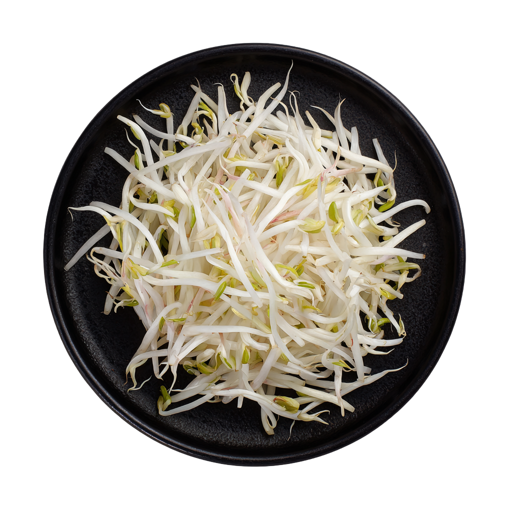 黄豆芽高清商业元素