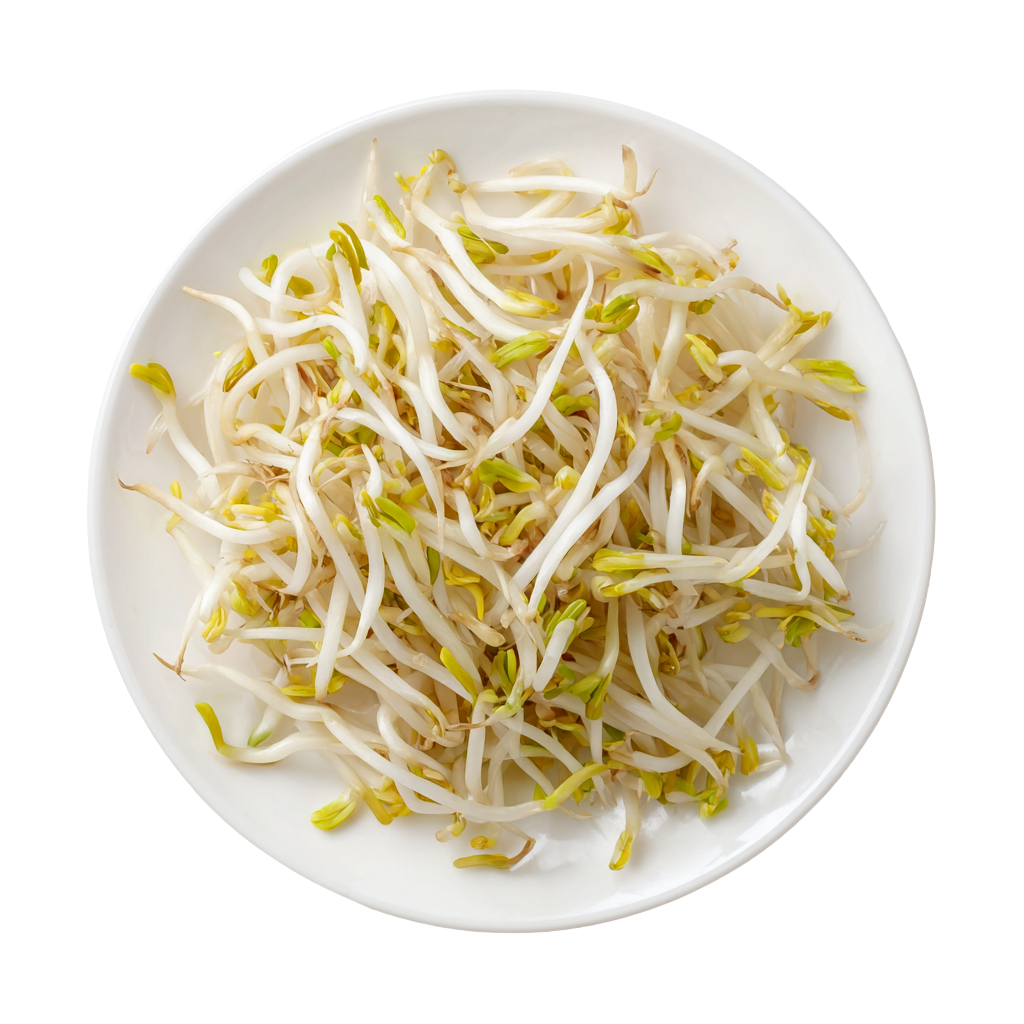 黄豆芽创意设计元素