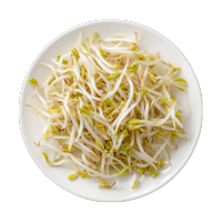 黄豆芽创意设计元素