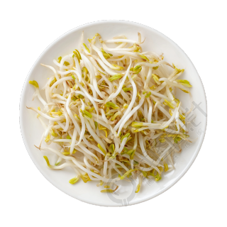 黄豆芽创意设计元素