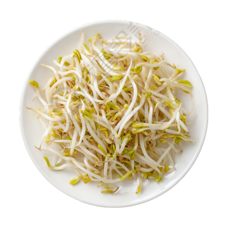 黄豆芽创意设计元素