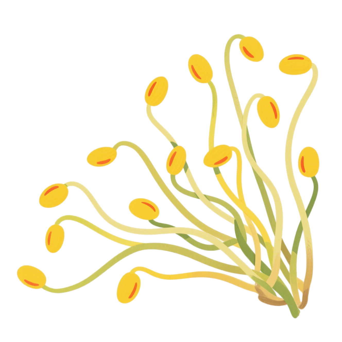 黄豆芽清新简约素材