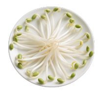 黄豆芽高清商业插画