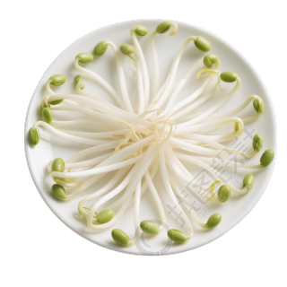 黄豆芽高清商业插画