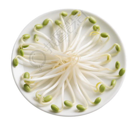 黄豆芽高清商业插画