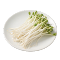 黄豆芽高清商业插图