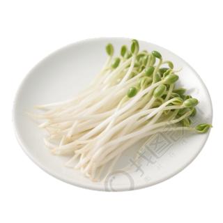 黄豆芽高清商业插图