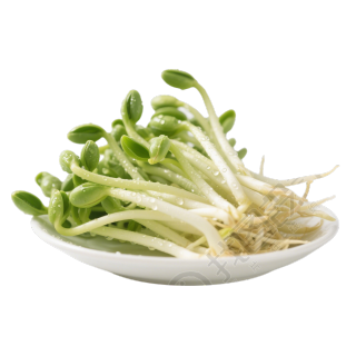 黄豆芽可商用PNG素材