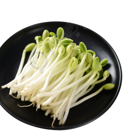 黄豆芽透明背景插图
