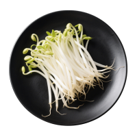 黄豆芽透明背景素材