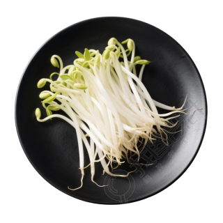 黄豆芽透明背景素材