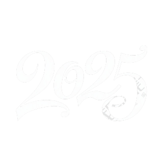 2025艺术字元素
