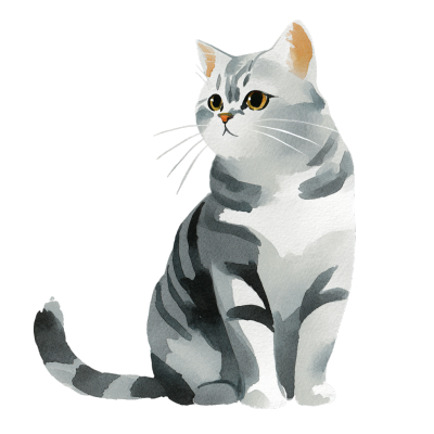 水彩画灰色猫插画